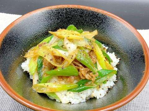 長ネギたっぷり♡ネギだく丼